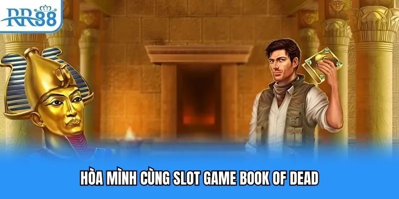 Nổ Hũ RR88 | Làm Giàu Với Những Siêu Phẩm Game Hot Nhất 2025 4 Hòa mình cùng slot game Book Of Dead