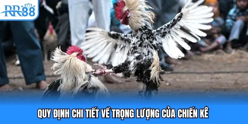 Đá Gà Cựa Sắt - Hình Thức Chọi Kê Trực Tuyến Đặc Sắc 2025 3 Quy định chi tiết về trọng lượng của chiến kê