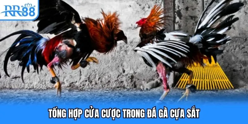 Đá Gà Cựa Sắt - Hình Thức Chọi Kê Trực Tuyến Đặc Sắc 2025 4 Tổng hợp cửa cược trong đá gà cựa sắt