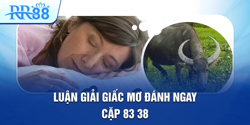 Luận giải giấc mơ đánh ngay cặp: 83, 38.